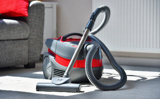 Upright Vs. Canister Vacuum: Basics and Similarities