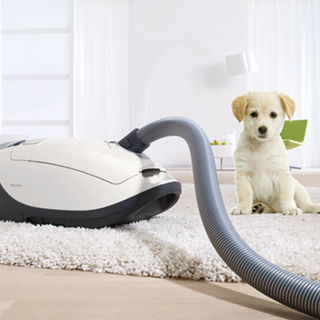 Miele C3 Cat & Dog IU (2)