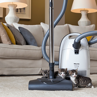 Miele C3 Cat & Dog IU (9)