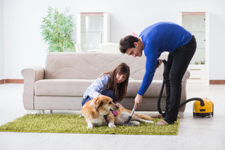 Vacuuming Tips for Hairdressers and Pet Groomers