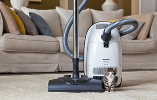 A kitten standing next to a vacuum cleaner.