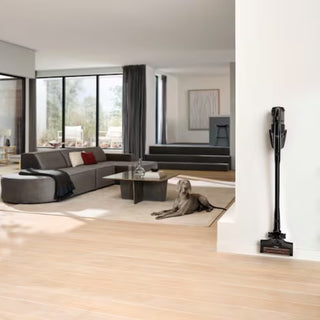 A gray dog lies on a rug in a modern living room with large windows, a sectional sofa, and a coffee table. The 2-Miele Miele Triflex HX3 Cat & Dog Cordless Stick Vacuum in Obsidian Black, featuring a HEPA filter, stands against the white wall, ready for quick upholstery cleaning whenever needed.
