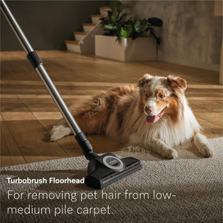 The Miele Guard L1 Cat & Dog canister vacuum with a turbo brush head is shown on a carpet next to a dog, demonstrating the Miele vacuum’s effective pet hair removal from low to medium pile carpets.