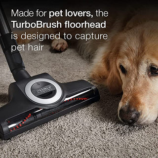 A 2-Miele Boost CX1 Cat & Dog bagless vacuum cleaner featuring a TurboBrush floorhead is displayed on a carpet beside a golden retriever, with text emphasizing its strong pet hair removal capability.