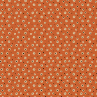 Riley Blake Morning Latte Seedpods Spice C16924-SPICE features small cream daisy flowers with black centers on orange, printed on 100% cotton fabric from Fabric by Riley Blake.