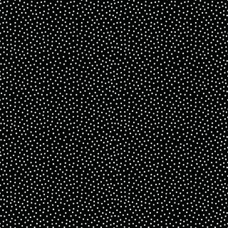 Lori Whitlock for RBD Little Ladybug C18035-BLACK Dots Black by 56-Riley Blake features a black background adorned with a dense, evenly spaced pattern of small white dots covering the entire fabric—perfect for quilting cotton projects or as premium cotton fabric by the yard.