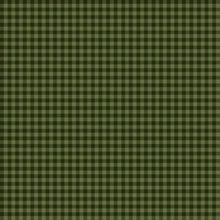 The Cider Mill PNBCMIL-6223-G HARVEST GINGHAM Fabric Yardage by 47-EE Schenck features a seamless pattern of dark green and black gingham checks in an evenly spaced grid—perfect for quilting cotton projects or ordering as fabric by the yard with free shipping.