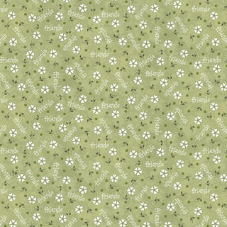 Featuring a light green background adorned with small white flowers and the scattered words “friends” and “spirits” in lowercase, the Friendship Garden Gail Pan for HGF 3628-60 DAISY FRIENDS Light Green Fabric Yardage by 47-EE Schenck is a delightful cotton fabric available by the yard with free shipping.